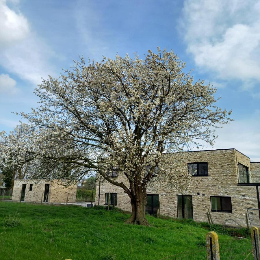 De Molenlos Zottegem Exterior photo