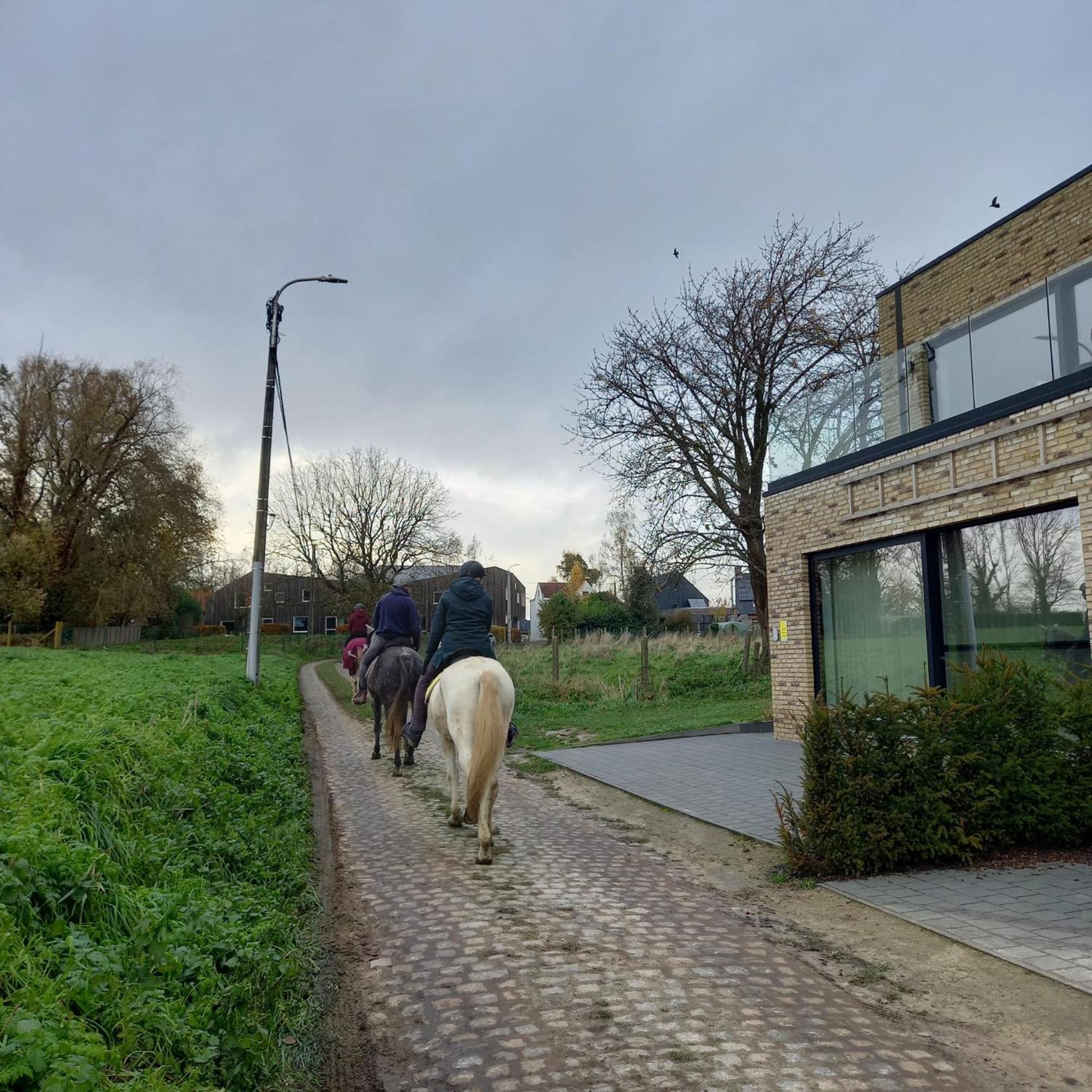 De Molenlos Zottegem Exterior photo